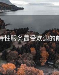 美容店特性服务最受欢迎的前十排行