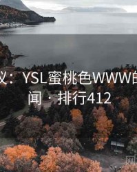 网友热议：YSL蜜桃色WWW的十大奇闻 · 排行412