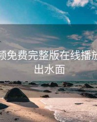 插曲视频免费完整版在线播放真相浮出水面