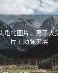 男子大头龟的图片，男子大头龟的图片主动脉夹层