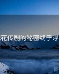 麻花传剧的秘密终于浮现