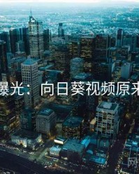 真相曝光:向日葵视频原来如此