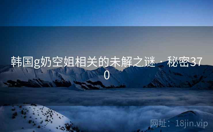 韩国g奶空姐相关的未解之谜 · 秘密370