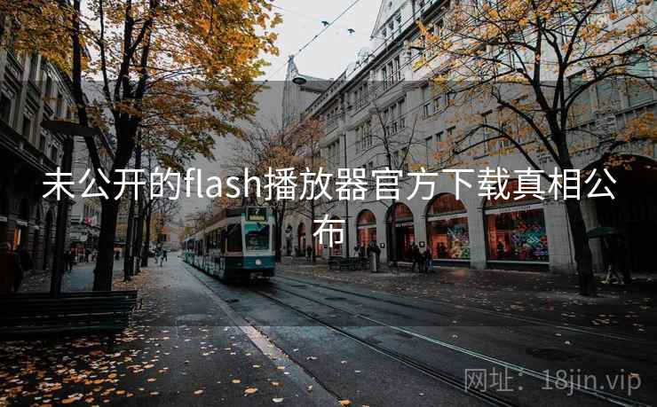 未公开的flash播放器官方下载真相公布
