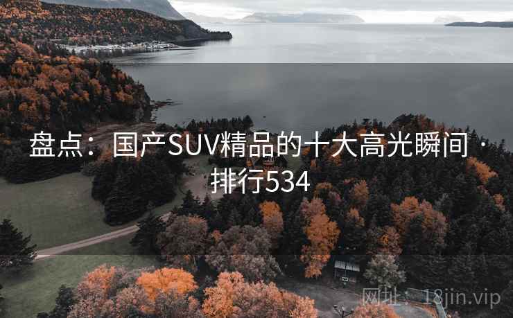 盘点：国产SUV精品的十大高光瞬间 · 排行534