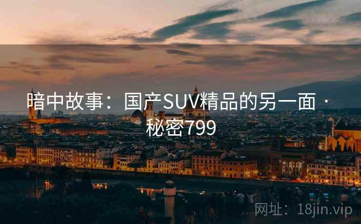 暗中故事:国产SUV精品的另一面 · 秘密799 暗中故事:国产SUV精品的另一面 · 秘密799
