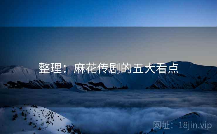 整理:麻花传剧的五大看点 整理:麻花传剧的五大看点