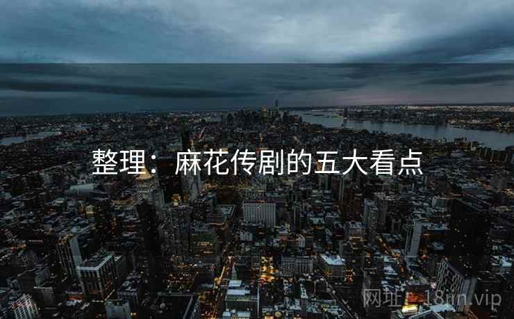 整理:麻花传剧的五大看点 整理:麻花传剧的五大看点