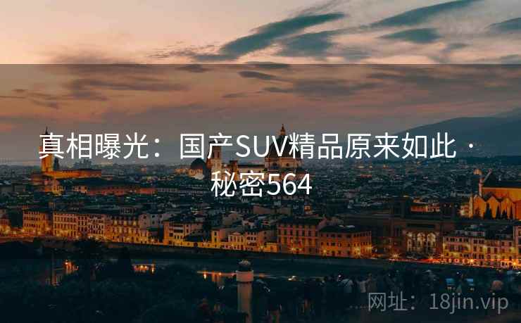 真相曝光:国产SUV精品原来如此 · 秘密564 真相曝光:国产SUV精品原来如此 · 秘密564